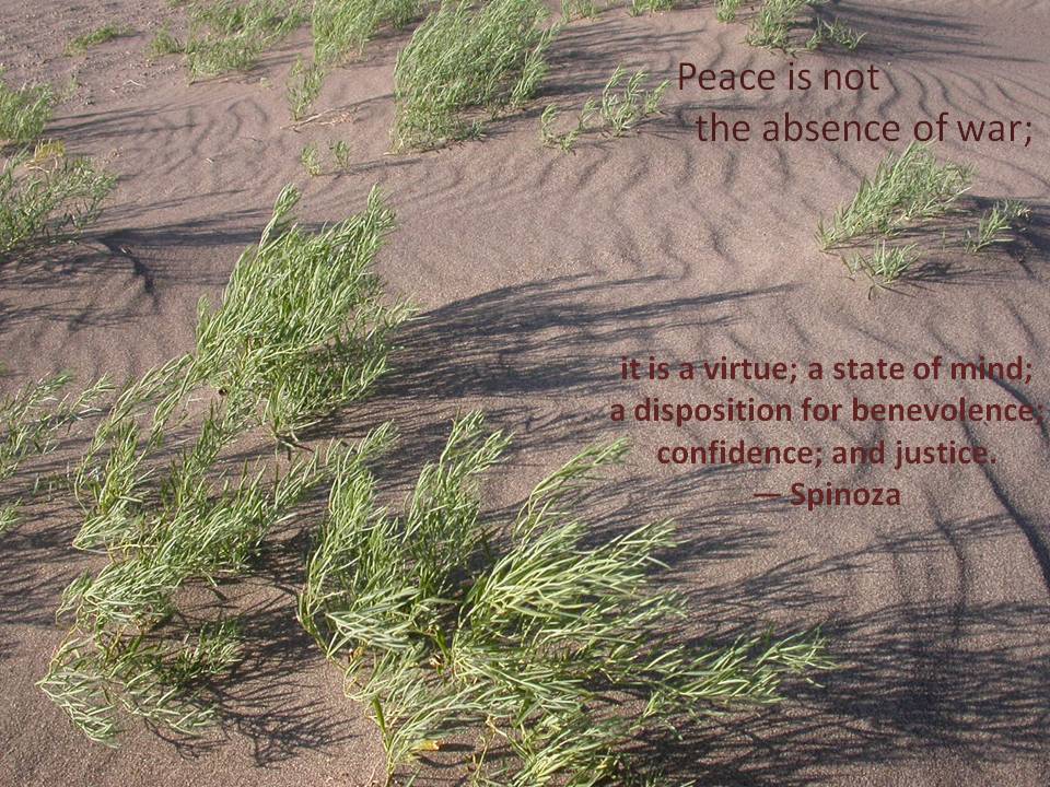 Great Sand Dunes National Park