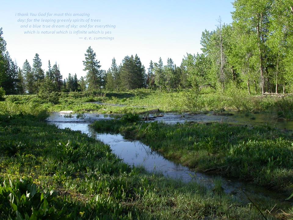 Teton Nation Park, WY